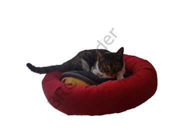 Simit Kedi Yatağı